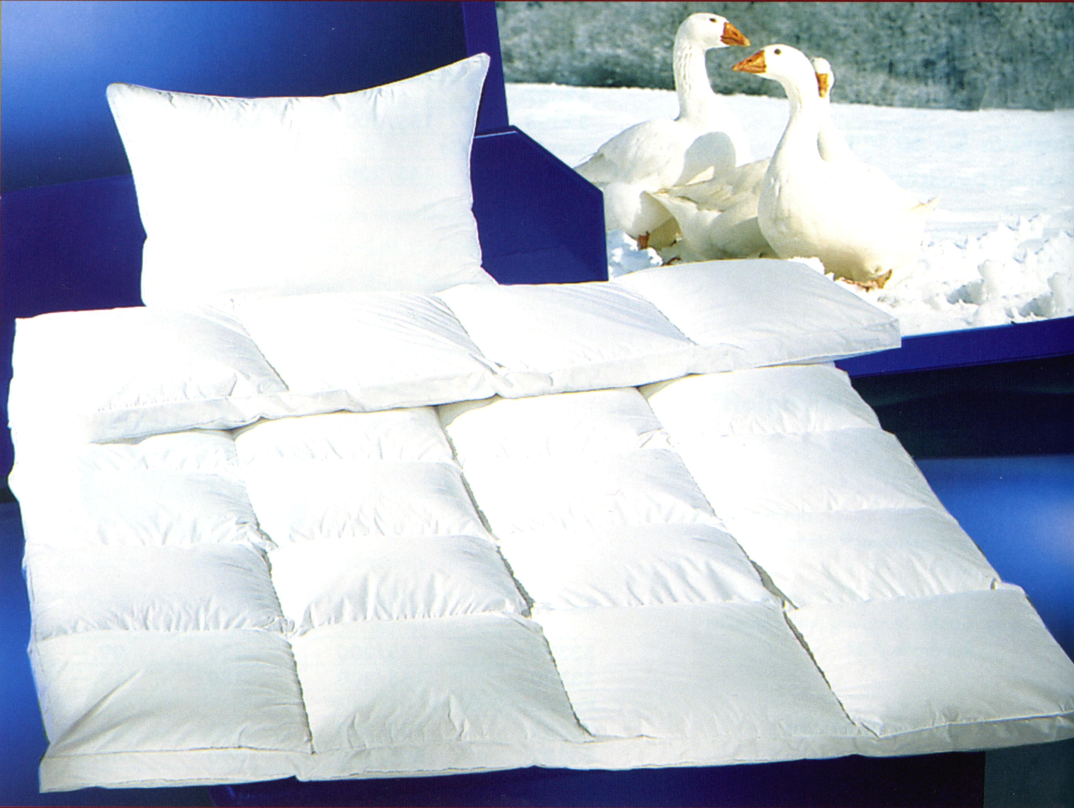 duo-daunenbett